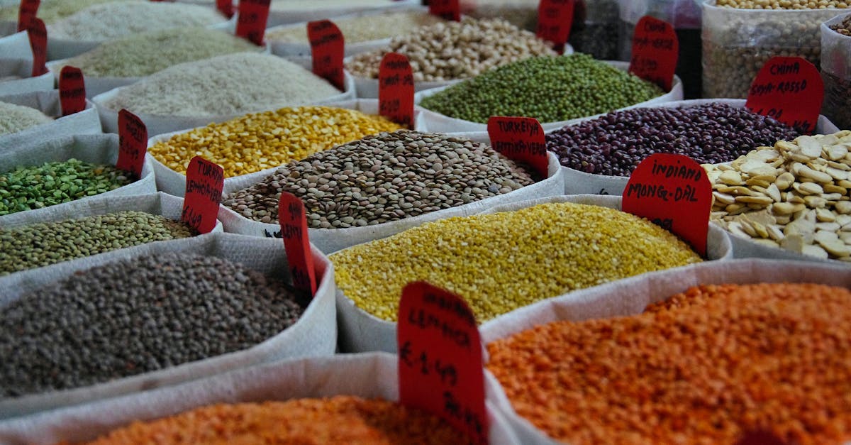 découvrez l'univers fascinant des épices : des arômes envoûtants, des saveurs riches et des bienfaits pour la santé. apprenez à choisir, utiliser et conserver vos épices préférées pour sublimer vos plats au quotidien.