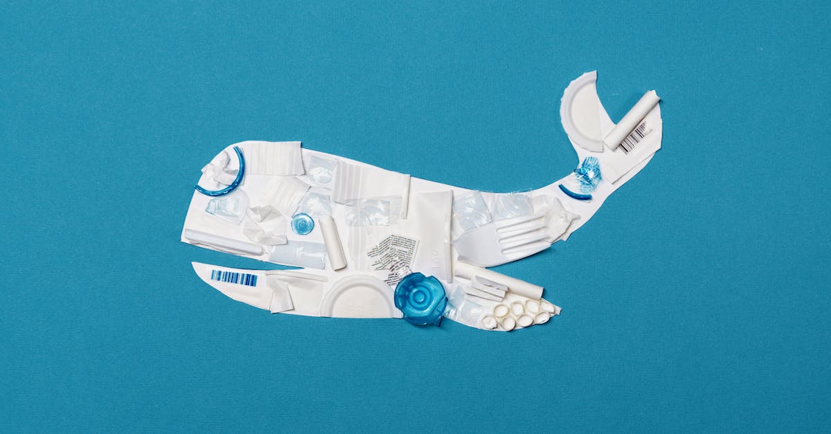 découvrez l'art de l'upcycling : transformez des objets inutilisés en créations uniques et durables. apprenez des astuces pratiques pour donner une seconde vie à vos vieux vêtements, meubles et accessoires tout en réduisant votre empreinte écologique.