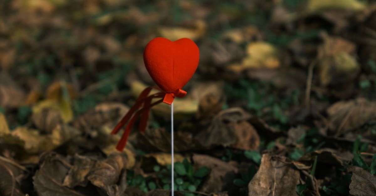 découvrez des idées créatives et inspirantes pour décorer votre maison à l'occasion de la saint-valentin. transformez votre espace en un lieu romantique avec des décorations charmantes, des couleurs douces et des touches personnelles qui émerveilleront votre partenaire.