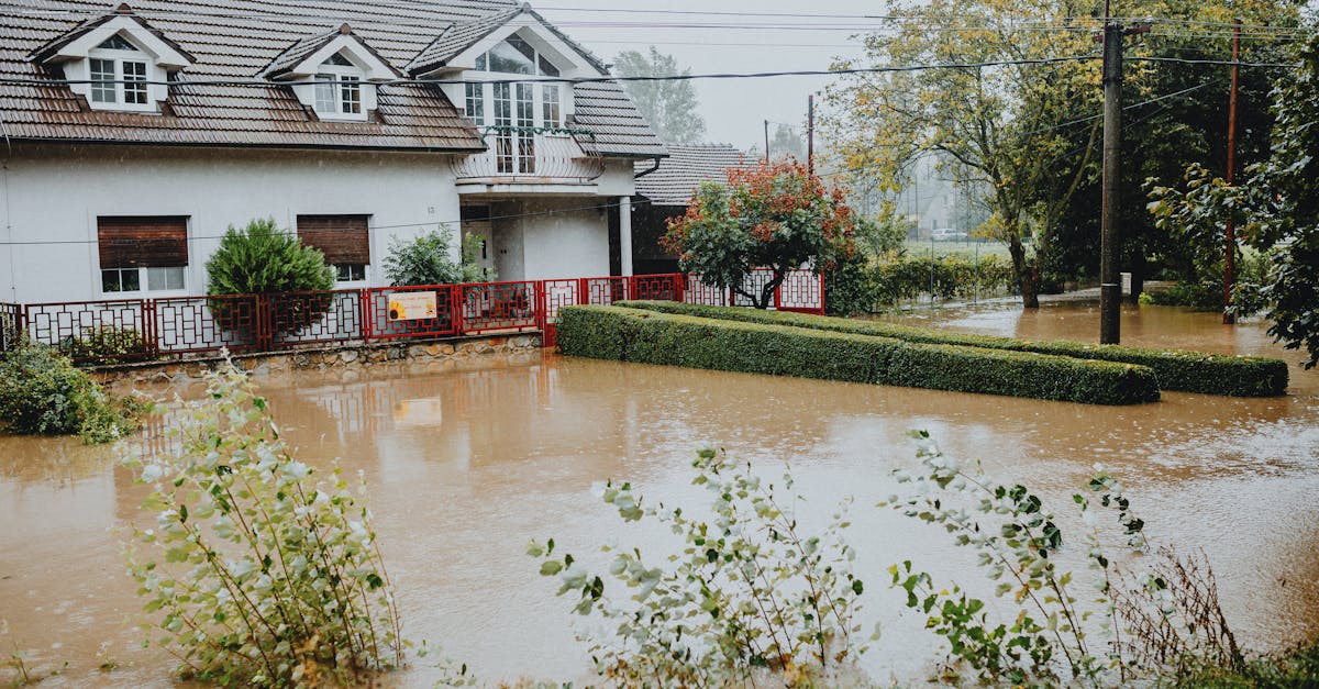 découvrez comment gérer les dommages causés par l'eau, des conseils pour prévenir les fuites aux solutions pour restaurer votre habitation. protégez votre maison et vos biens des effets néfastes de l'humidité.