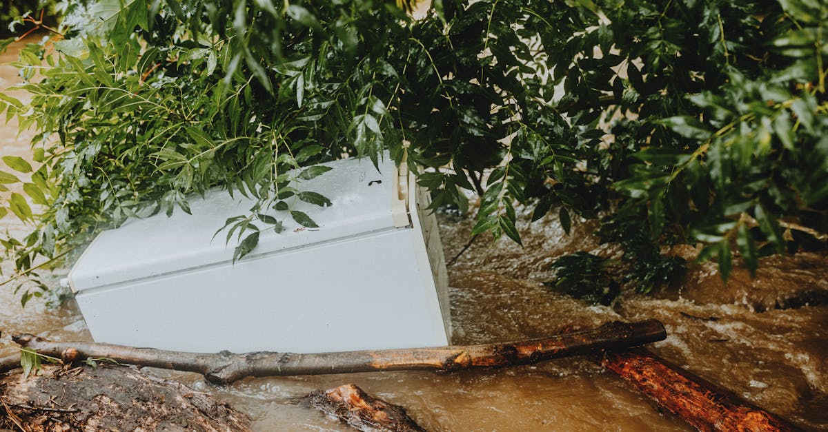 découvrez comment prévenir et réparer les dégâts des eaux dans votre maison. avec des conseils pratiques et des solutions efficaces, protégez votre espace de vie des problèmes d'humidité et de moisissure.
