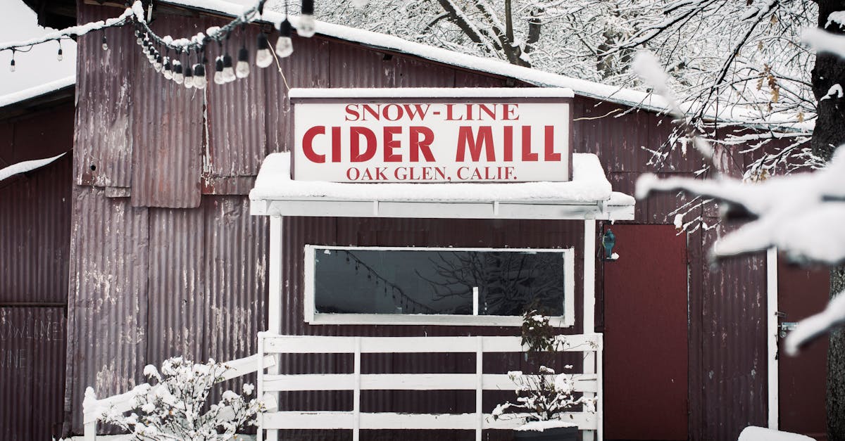 découvrez les bienfaits du vinaigre de cidre de pomme, un incontournable pour votre santé ! apprenez à l'utiliser dans votre routine quotidienne, que ce soit en cuisine ou pour votre bien-être, et explorez ses propriétés naturelles étonnantes.
