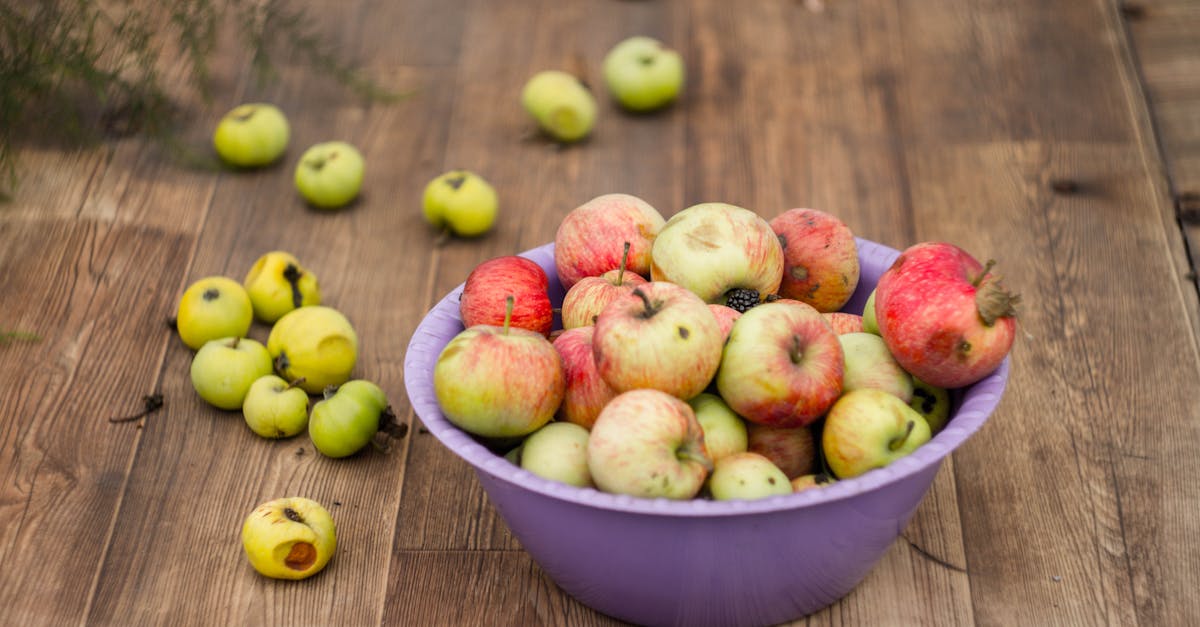 découvrez les bienfaits du vinaigre de cidre de pomme, un élixir naturel aux multiples vertus pour la santé. apprenez à l'utiliser dans votre cuisine et comme remède, tout en bénéficiant de ses propriétés digestives et détoxifiantes.