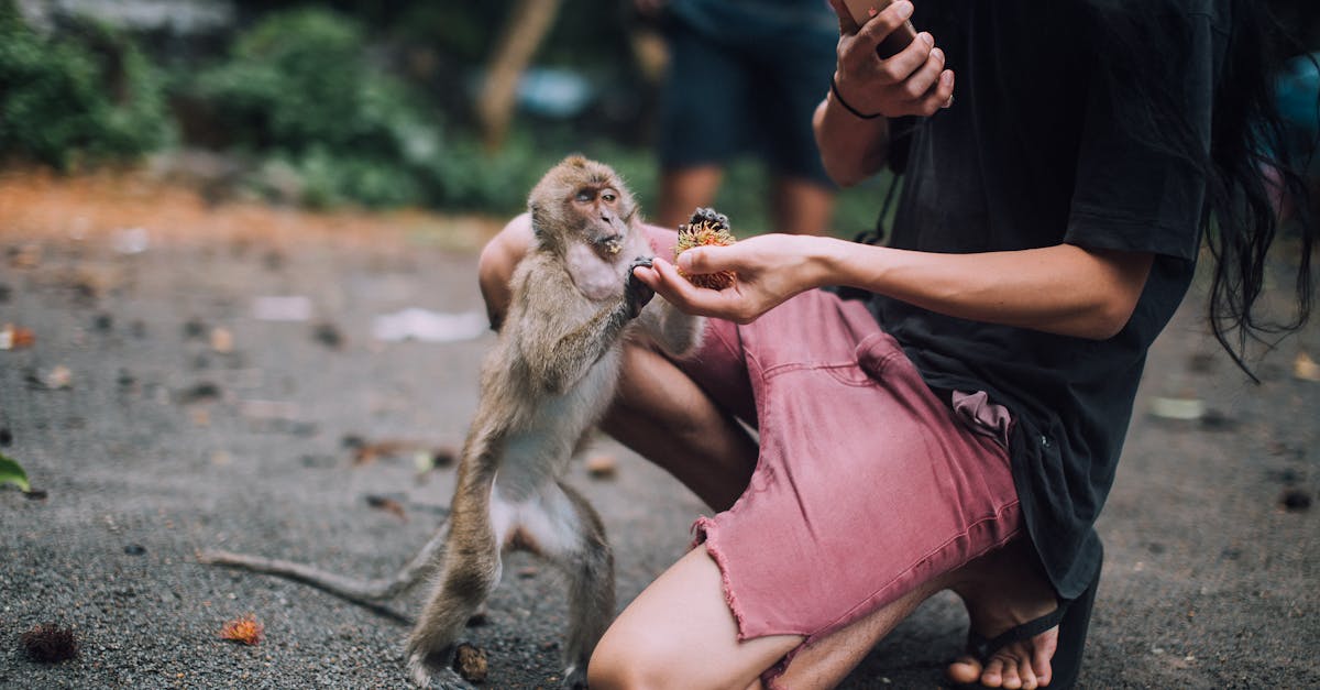 découvrez les principes de la coexistence harmonieuse entre les individus et les cultures. explorez comment vivre ensemble dans le respect et la compréhension mutuelle, favorisant l'acceptation et la paix.