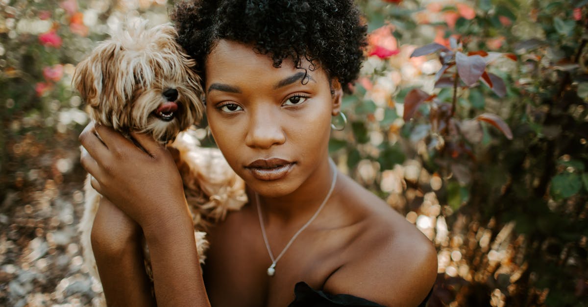 découvrez les roses faciles à entretenir, idéales pour embellir votre jardin sans souci. profitez de leur beauté naturelle et de leur résistance, tout en ajoutant une touche colorée et parfumée à votre espace extérieur.