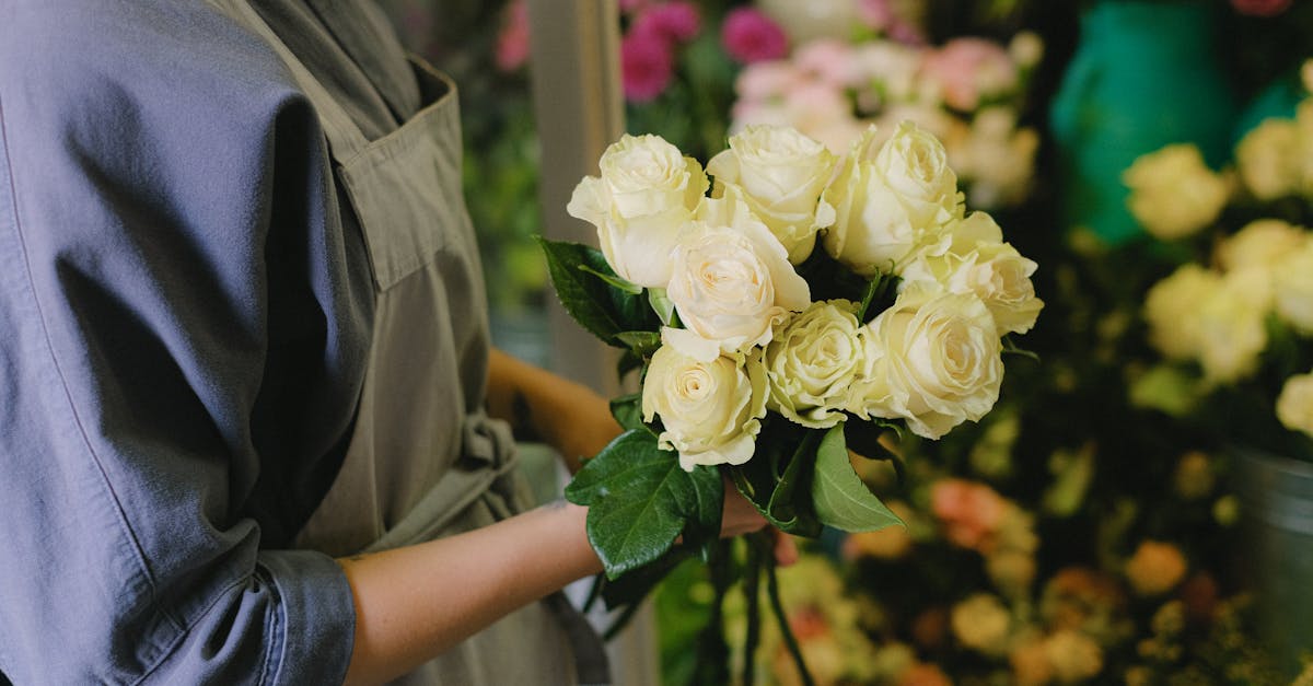 découvrez les roses faciles à entretenir, idéales pour embellir votre jardin sans effort. profitez de leur beauté durable et de leur résistance aux maladies, tout en ajoutant une touche de couleur et de parfum à votre espace extérieur.