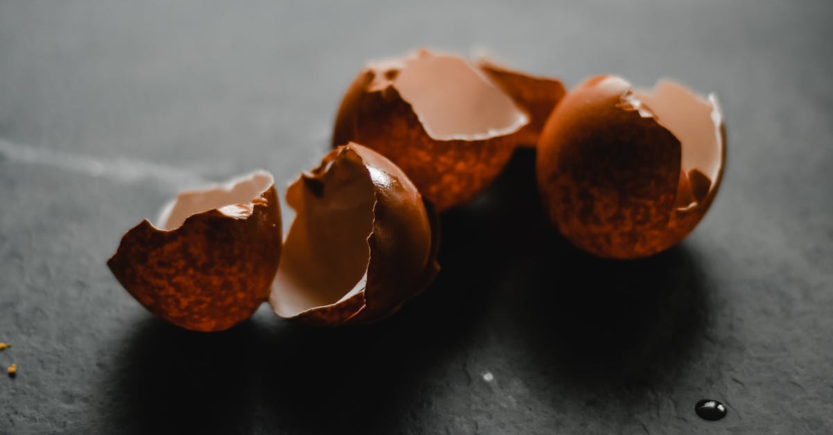 découvrez des stratégies efficaces pour réduire le gaspillage alimentaire et apprendre à valoriser vos restes. ensemble, agissons pour un monde plus durable et responsable envers notre alimentation.