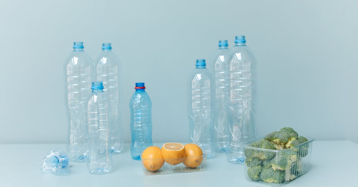 découvrez l'impact environnemental du gaspillage alimentaire et les solutions pour réduire vos déchets. apprenez des astuces pratiques pour un mode de vie durable et contribuez à la lutte contre le gaspillage de nourriture.