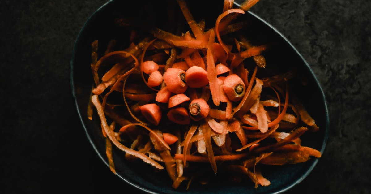 découvrez des astuces et des informations sur le gaspillage alimentaire, ses impacts environnementaux et des solutions pratiques pour réduire vos déchets en cuisine. engagez-vous pour une alimentation plus durable et apprenez à mieux valoriser vos ressources alimentaires.