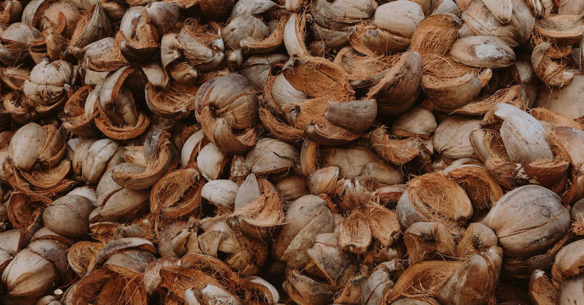 découvrez l'impact du gaspillage alimentaire sur notre planète et des solutions pratiques pour réduire votre empreinte écologique. apprenez à mieux gérer vos repas et à valoriser vos restes pour un avenir durable.