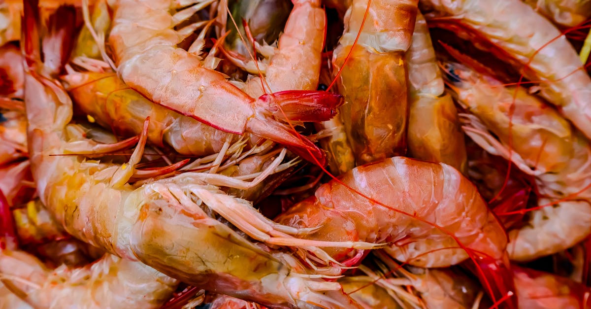 découvrez des astuces de cuisine incontournables qui transformeront votre expérience culinaire. économisez du temps et de l'effort avec ces conseils pratiques et innovants pour simplifier la préparation de vos plats préférés.