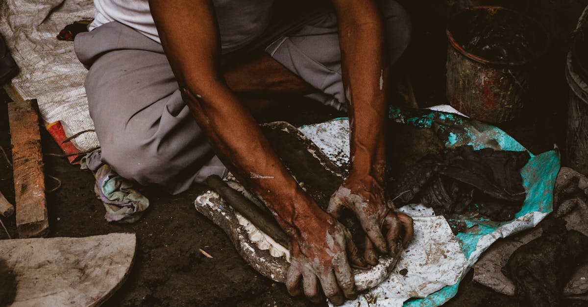 découvrez tout ce qu'il faut savoir sur les moisissures, leurs types, leurs causes et leurs impacts sur la santé. apprenez comment prévenir leur apparition et assainir votre environnement. informez-vous sur les meilleurs traitements pour éliminer efficacement les moisissures.