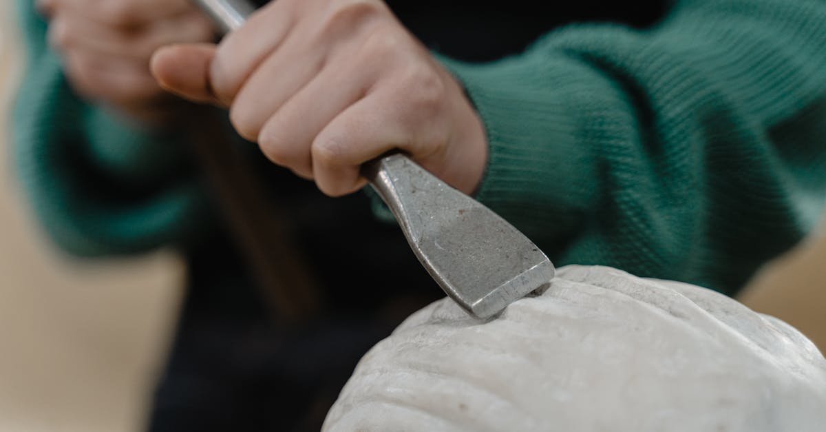découvrez tout sur la moisissure : types, causes, effets sur la santé et astuces pour la prévenir et la traiter efficacement. informez-vous pour un environnement sain!