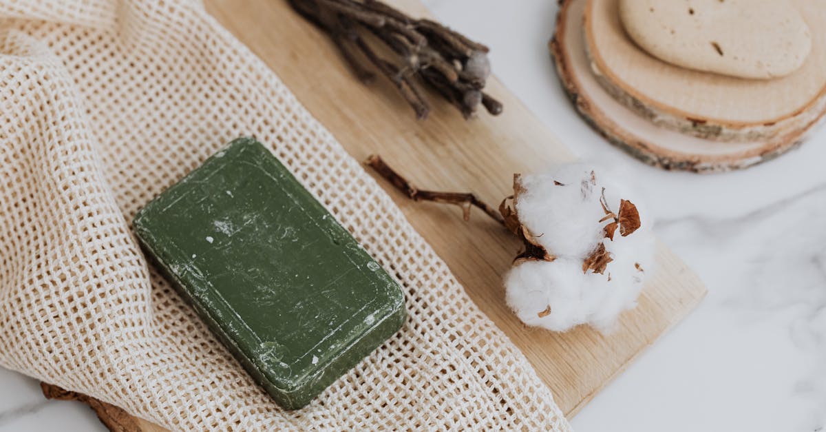 découvrez les bienfaits du nettoyage naturel avec des produits respectueux de l'environnement. adoptez des méthodes écologiques pour une maison saine et brillante, sans produits chimiques nocifs.