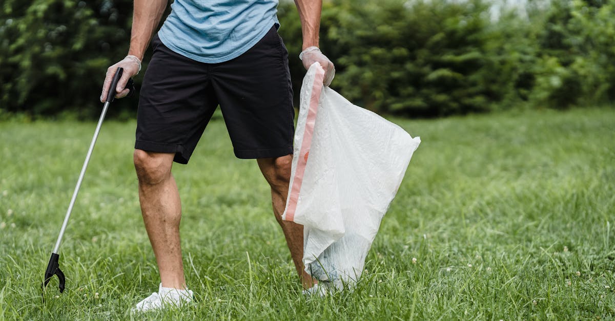 découvrez les bienfaits du nettoyage naturel avec des produits écologiques. optez pour des solutions saines et efficaces pour un environnement propre et respectueux de la planète.