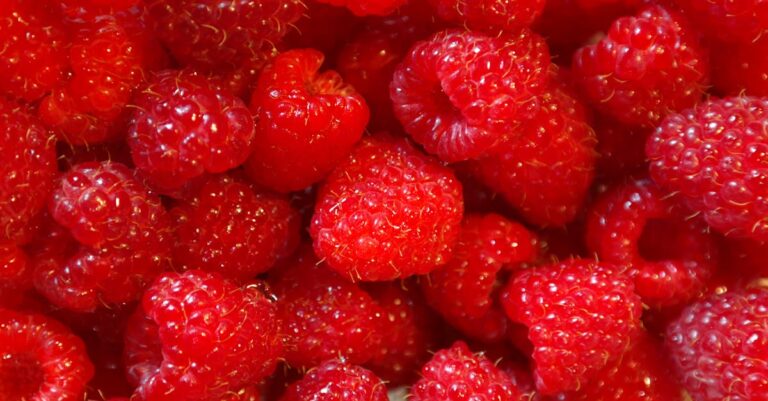 découvrez une recette simple et naturelle pour créer votre propre gel douche fait maison. éveillez vos sens et prenez soin de votre peau avec des ingrédients doux et biologiques. parfait pour une routine de soins éco-responsable et personnalisée.